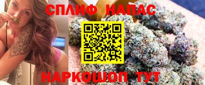 спайс Будённовск