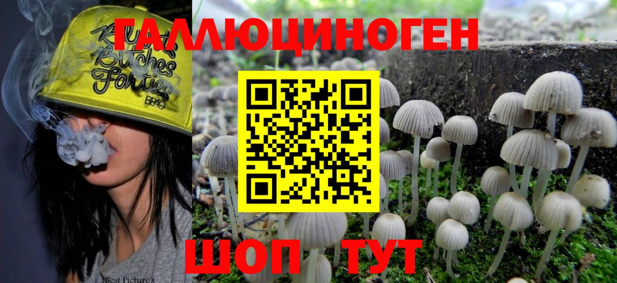 Псилоцибиновые грибы Psilocybine cubensis  Вход с VPN  Сертолово 