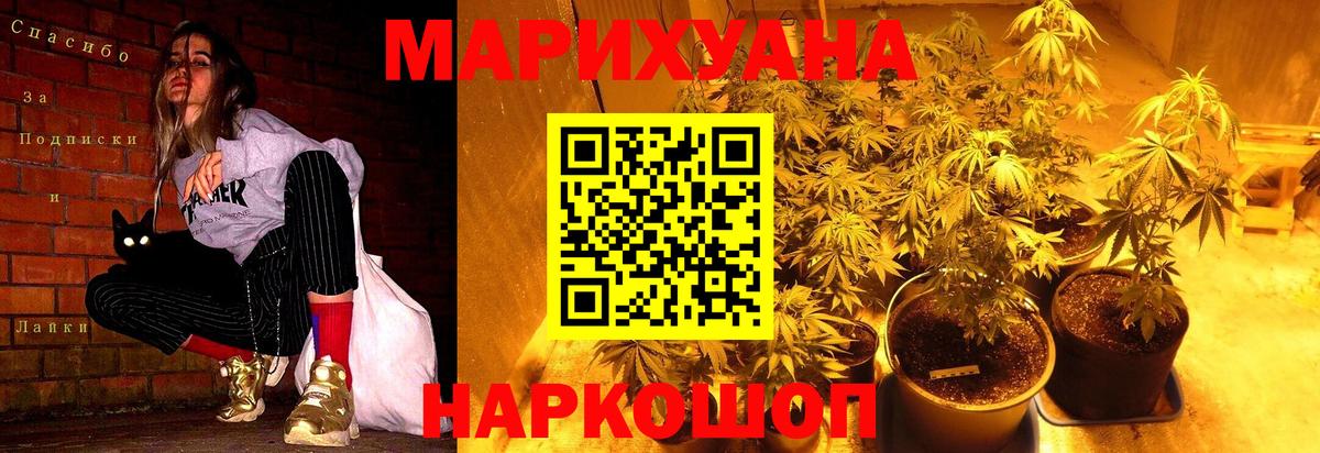Конопля план Сертолово